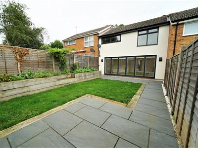 Picture 11